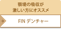 FINデンチャー