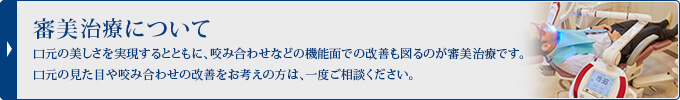 審美治療について
口元の美しさを実現するとともに、咬み合わせなどの機能面での改善も図るのが審美治療です。口元の見た目や咬み合わせの改善をお考えの方は、一度ご相談ください。