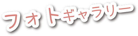 フォトギャラリー